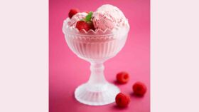 Yaourt Glac Frozen Yoghourt La Framboise Rapide D Couvrez Les