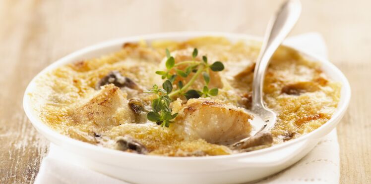 Saint Jacques gratinées aux champignons découvrez les recettes de