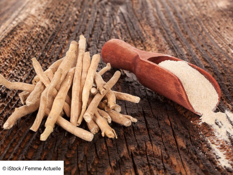 Ashwagandha Bienfaits Tout Ce Qu Il Faut Savoir Sur L Ashwagandha