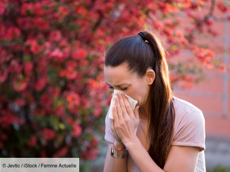 Allergie aux pollens alerte à lambroisie dans plusieurs départements