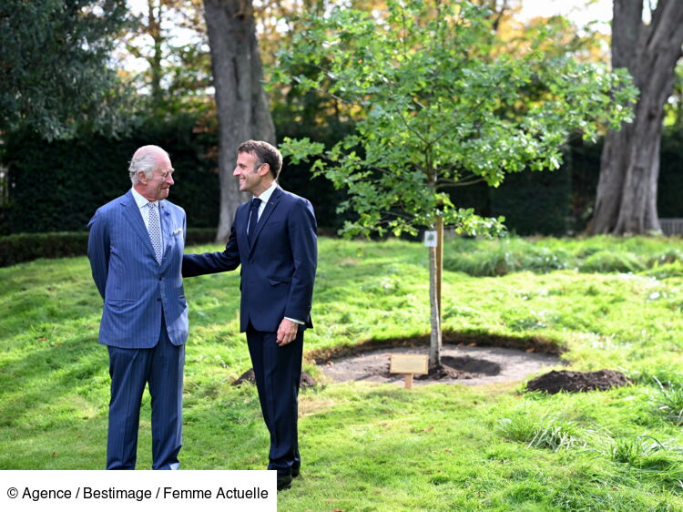 Charles Iii En France Cette S Quence Vid O Du Roi Avec Emmanuel