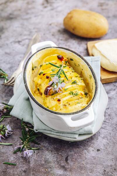 L Gumes Fromage Nos D Licieuses Recettes De Gratins Pour Le