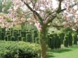 Les Jardins de Séricourt élus jardin de l'année
