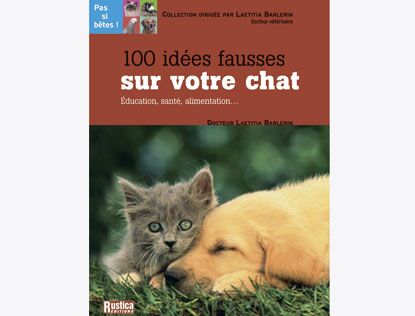 5 Idées Reçues Sur Votre Chat Femme Actuelle Le Mag