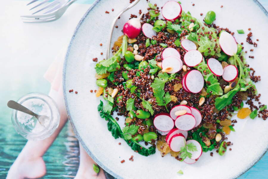 10 Recettes De Salades Gourmandes à Moins De 300 Calories - Femme Actuelle