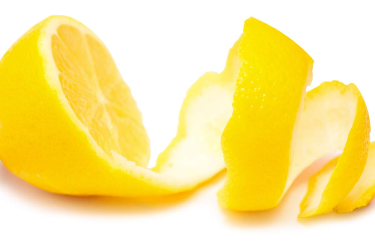 Кожура лимона. Шкурка лимона. Корка лимона. Лимонная цедра на белом фоне.