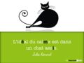 L'idéal du calme est dans un chat assis.