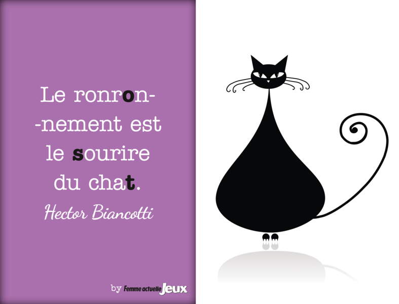 Citations sur les chats à partager - Femme Actuelle