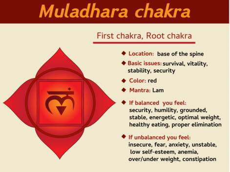 Guide des 7 chakras : emplacements, couleurs, sons, messages, pierres et plantes associés