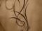 Un tatouage polynésien sur l'omoplate  