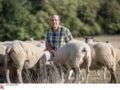 Laurent, 41 ans, éleveur de vaches allaitantes et de brebis (Nièvre)