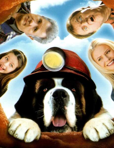 Les Animaux Stars Du Cinéma Femme Actuelle