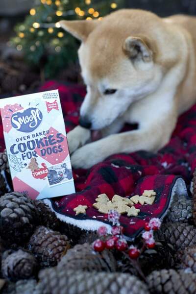 Nos Cadeaux Pour Chat Et Chien A Glisser Sous Le Sapin De Noel Femme Actuelle