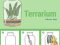 Le terrarium