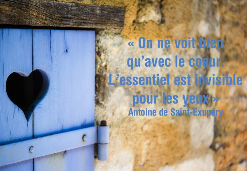 Image De Citation Citation Amour Le Coeur A Ses Raisons