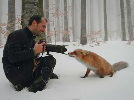 Des instants magiques capturés entre photographes et animaux