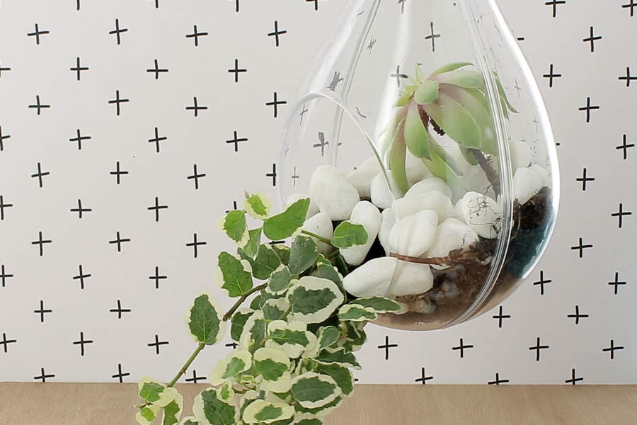 Un terrarium pour ma deco de salon Femme Actuelle