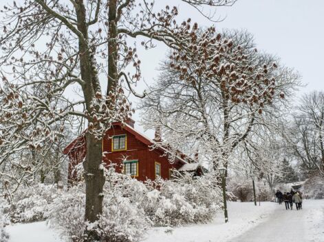 Un hiver à Stockholm