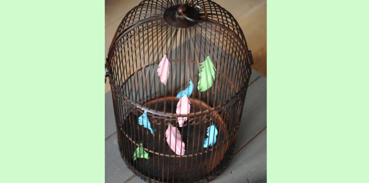 Je Transforme Une Cage à Oiseaux En Objet Déco Femme