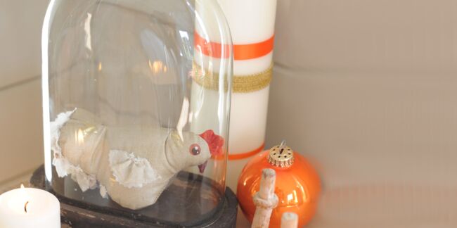 Une poule sous son globe en verre