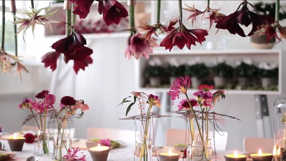 Vidéo: décorez votre table avec des amaryllis