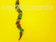 Cuisine créative : un serpent en concombre, tomates et fromage