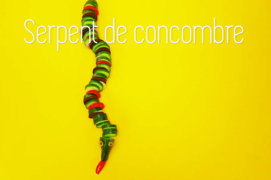 Petite assiette serpent