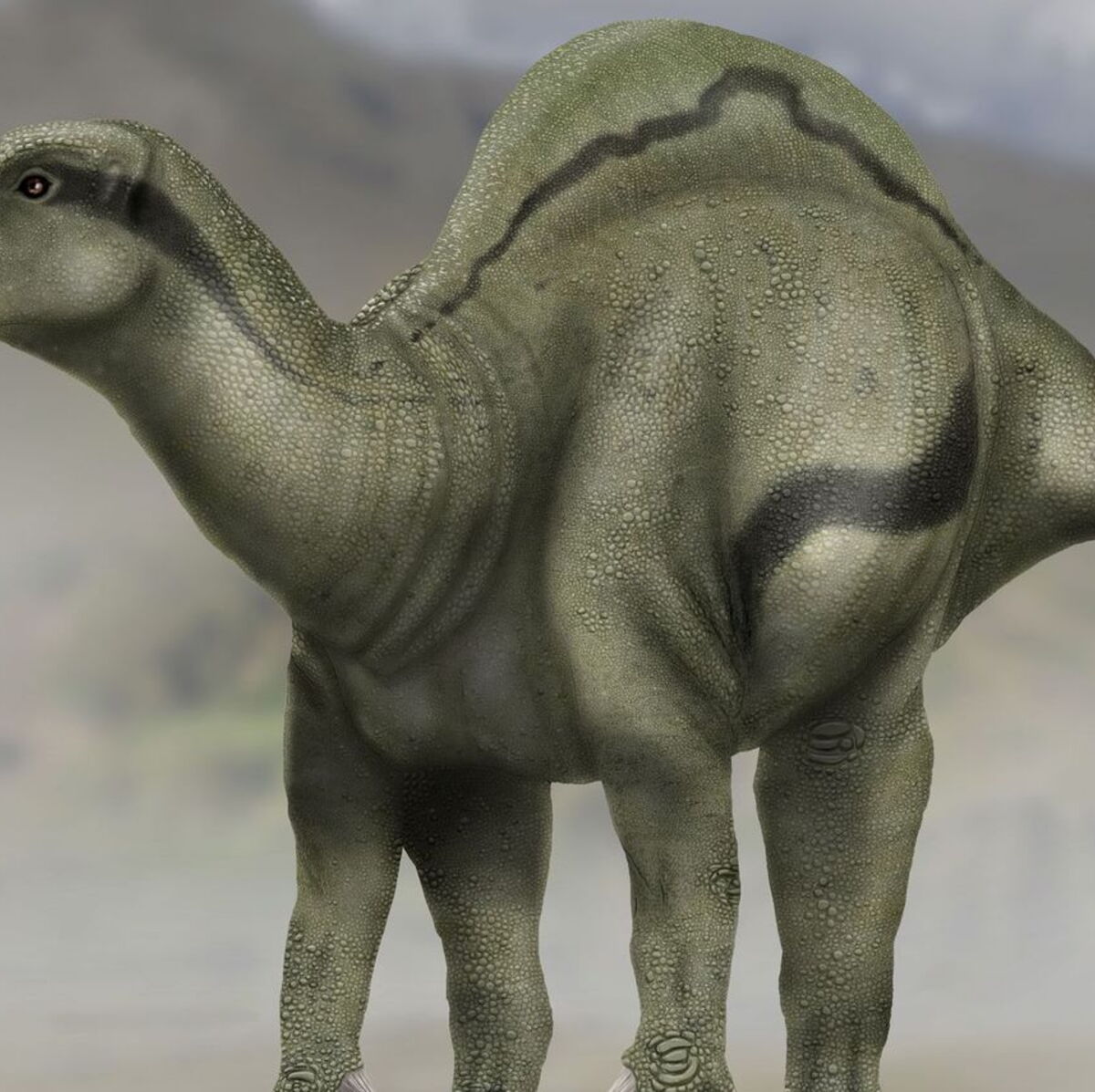 Dans La Famille Dinosaure Je Voudrais Le Petit Dernier Femme Actuelle Le Mag Dans La Famille Dinosaure Je Voudrais Le Petit Dernier Femme Actuelle Le Mag