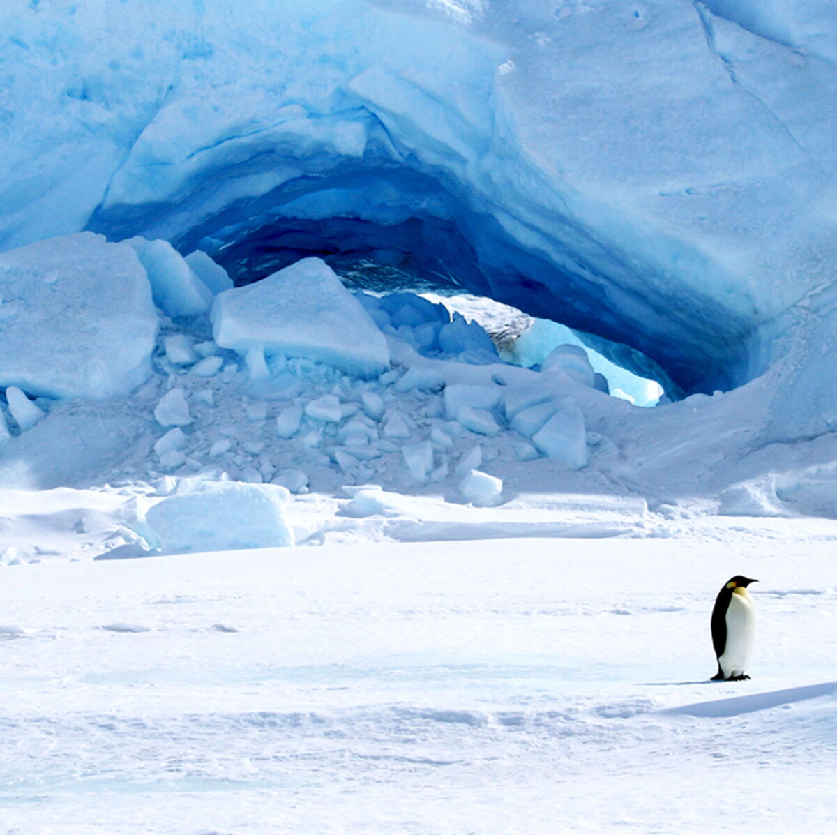 Une gorge profonde sous la glace ? : Femme Actuelle Le MAG