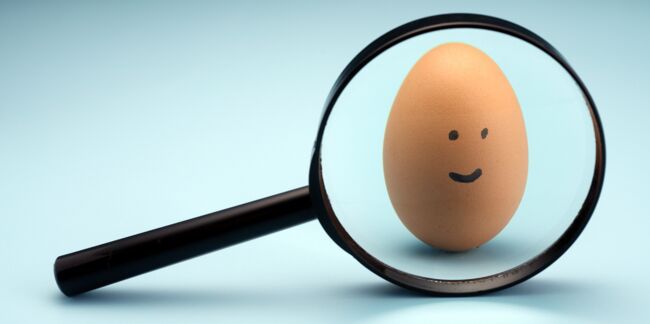 L'œuf le plus gros du siècle... et autres infos inutiles mais savoureuses