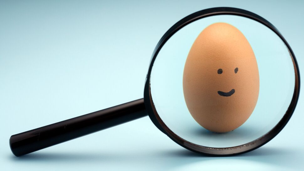 L'œuf le plus gros du siècle... et autres infos inutiles mais savoureuses