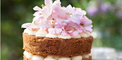 Naked layer cake : Femme Actuelle Le MAG