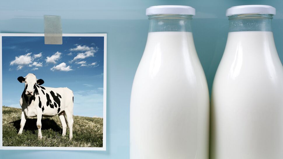 Le juste prix du lait, c'est à vous de le définir !