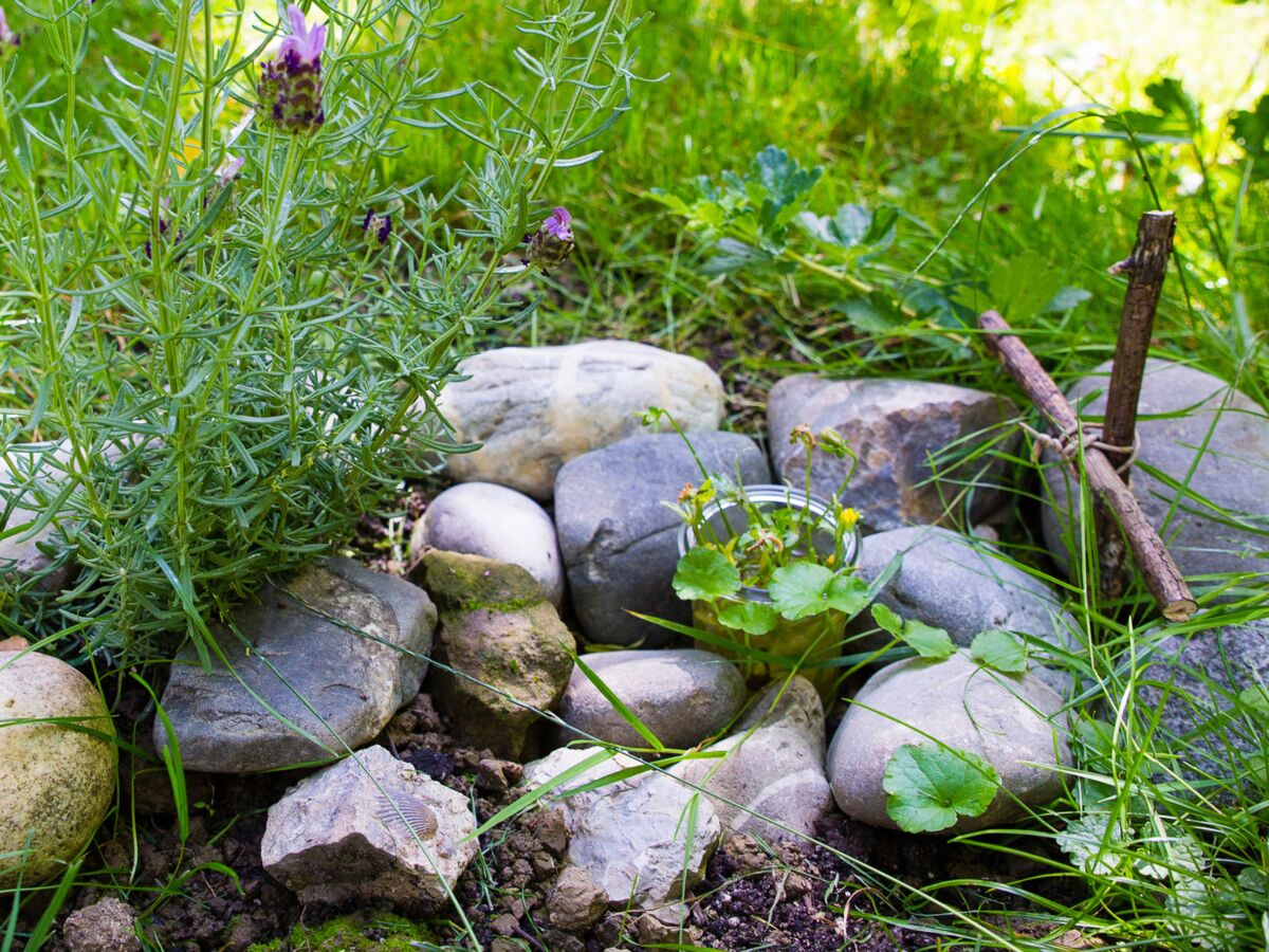 Enterrer Son Animal Dans Le Jardin Que Dit La Loi Femme Actuelle Le Mag