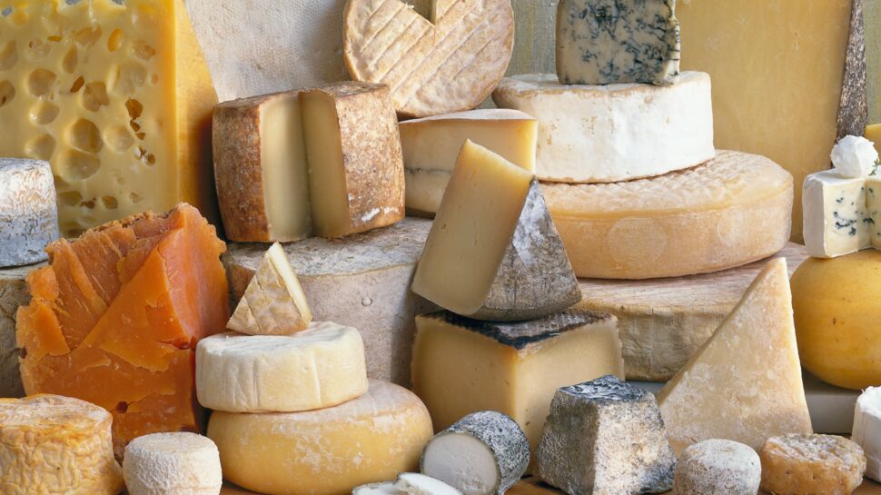 Si vous n'aimez pas le fromage, c'est la faute de votre cerveau