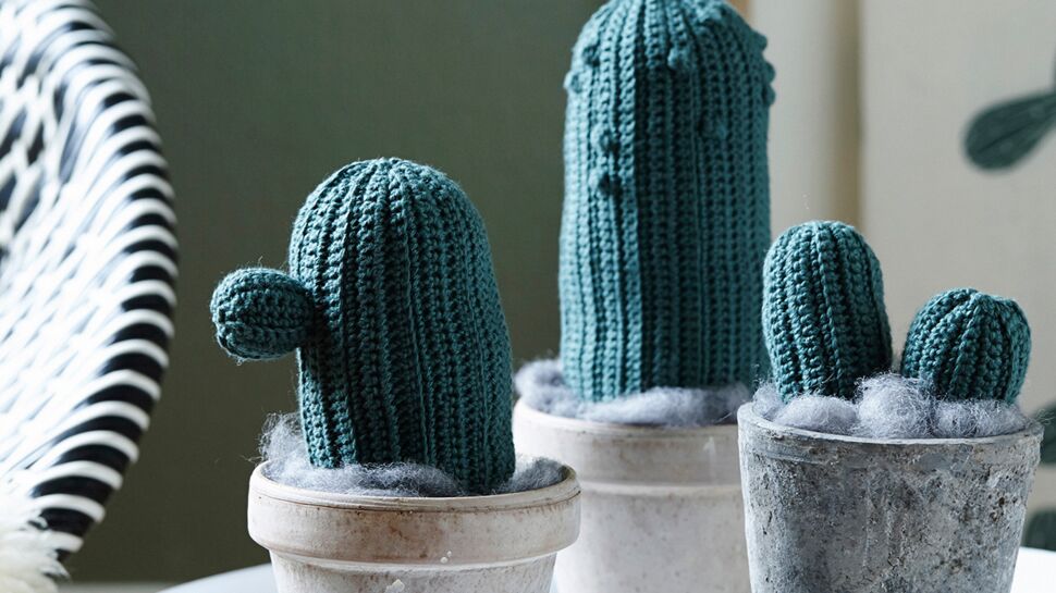 Des petits cactus au crochet
