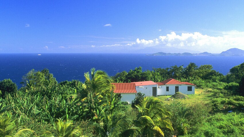 Basse-Terre, le jardin secret de la Guadeloupe (vidéo)