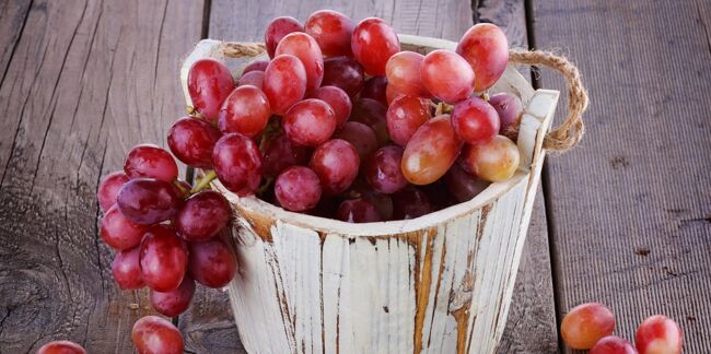 Une grappe de raisin chaque jour, le nouveau remède anti-Alzheimer ?