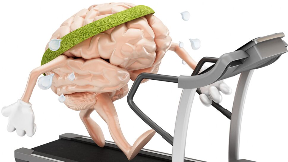 Le sport bon pour le cerveau… oui mais lequel ?