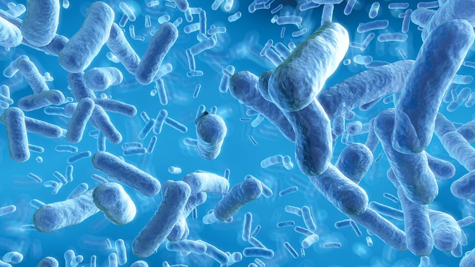 Un nouvel antibiotique contre les bactéries les plus résistantes !