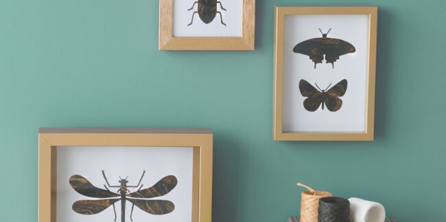 Des insectes en papier pour mes murs