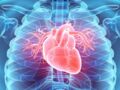Maladies cardio-vasculaires : du nouveau contre les récidives