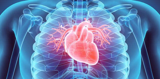 Maladies cardio-vasculaires : du nouveau contre les récidives