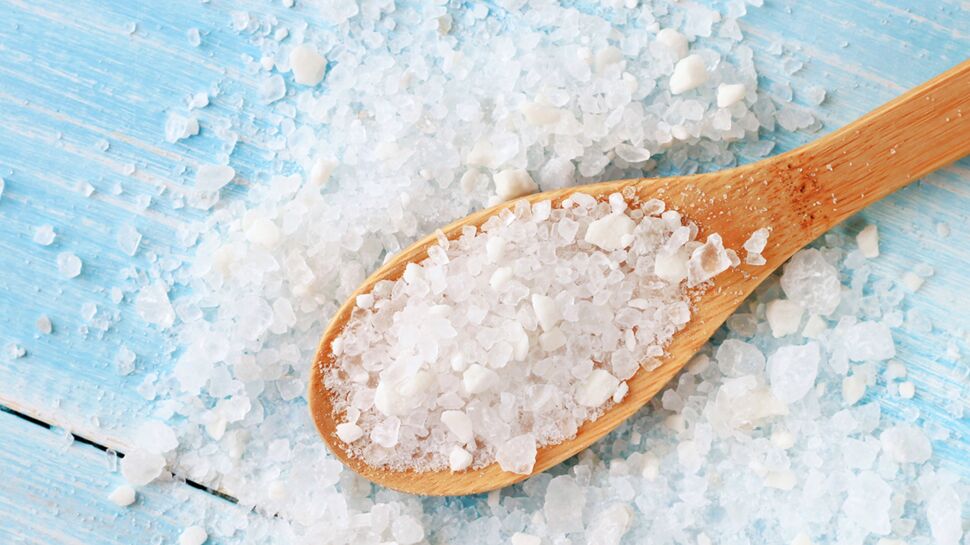 Les chercheurs ont compris pourquoi on adore le sel