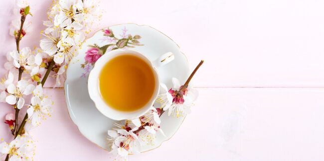 Glaucome : une tasse de thé par jour pour réduire les risques ?