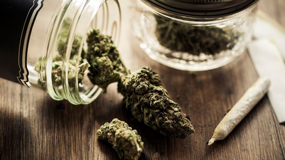 Légalisation du cannabis : pour ou contre ?