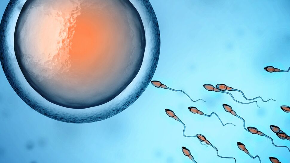 Don de sperme sauvage : une pratique surprenante et taboue