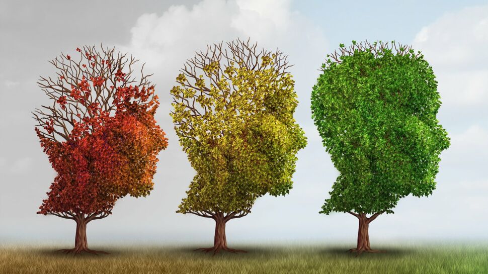 Alzheimer : le coup de pouce des médecines douces