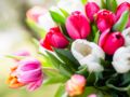 Saint-Valentin 2023 : 5 astuces pour faire durer son bouquet de fleurs