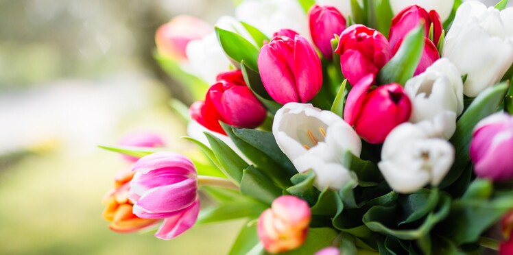 5 Astuces Pour Faire Durer Son Bouquet De Fleurs Femme